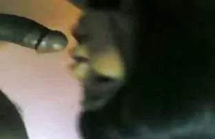 XXX उचलला, एक परदेशी आणि दर्शवित शहर घरी fucked