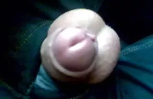 XXX Licosa खोगीर आणखी एक प्रियकर